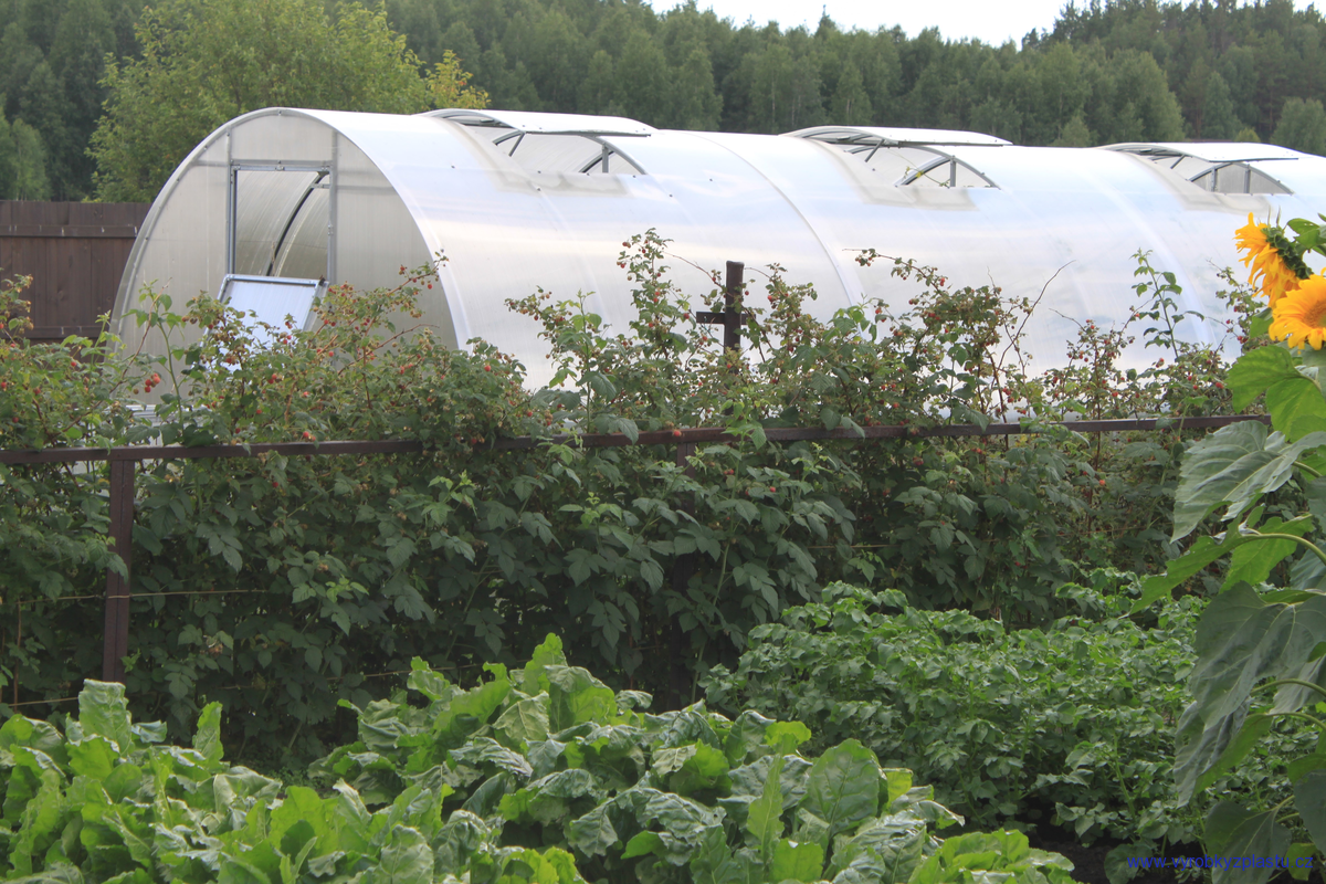 Zahradní skleník AGRUS, 3x2x6 m, včetně PC desek - 4 mm